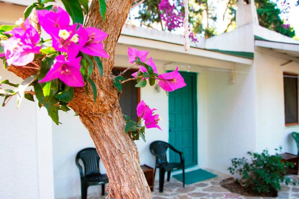 Myndos Bed & Breakfast Bodrum Esterno foto