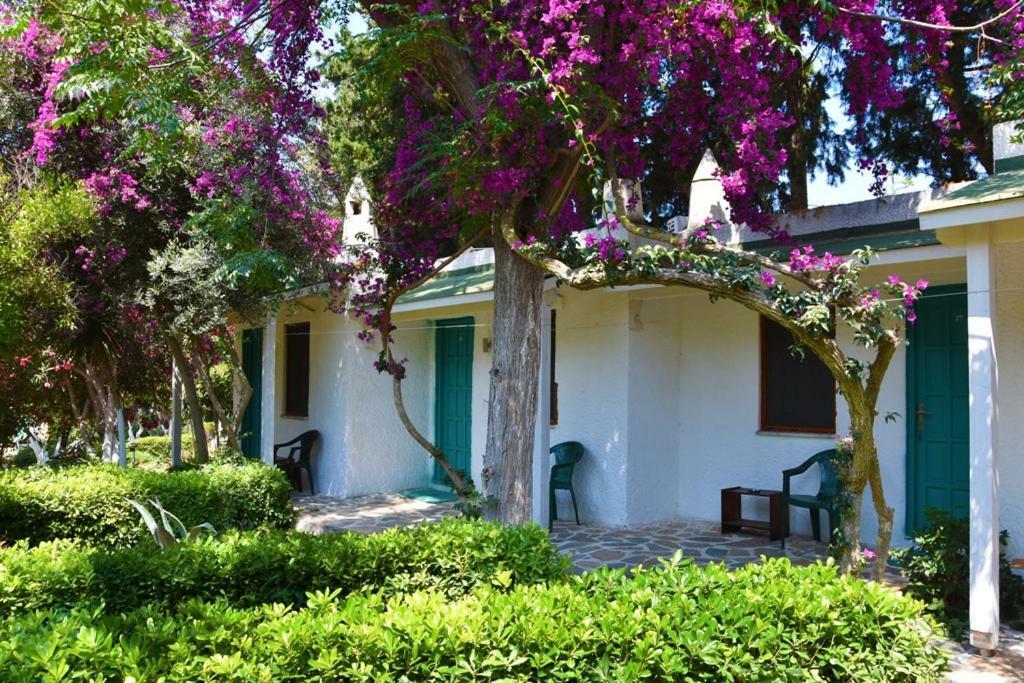 Myndos Bed & Breakfast Bodrum Esterno foto